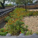 사익재 사랑채 이미지