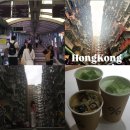 미드커피 | 홍콩여행 미드레벨 에스컬레이터 익청빌딩 후기 응커피 말차라떼