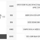 생활영어회화(저녁/원어민) 이미지