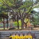 풀잎어린이집 이미지