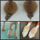 까까오 dog 이미지