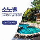 아쿠아사우나모텔 | 소노벨 단양 워터파크 오션플레이 리조트 호캉스 프로모션 정보