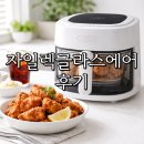 글라스메이트 | 자일렉 글라스 에어프라이어 후기