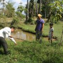 죽림농장 이미지