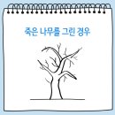 공상나무 이미지