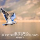 인생날개 네이버블로그