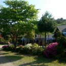 하늘아래 첫동네 꿩밭 이미지