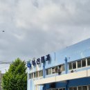 엄궁동 농산물도매시장(동문) | 신선한 과일 채소가 가득한 부산 엄궁농산물도매시장 탐방기