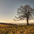 주식회사빌리브 이미지