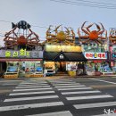 짬홍