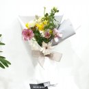 블루메플레르