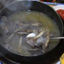 산천오리 이미지