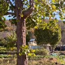 도현농장 이미지