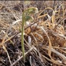 기권농장 이미지