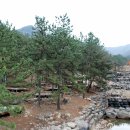 성주봉자연휴양림 야영장 이미지