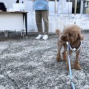 소계민원센터 이미지