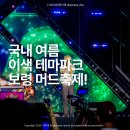 Sung won | 국내 가장 특별한 여름 테마파크는? 보령머드축제 총정리