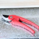 브뤼트 | 이케아 전지가위 브뤼트뵈나 후기, 굵은 가지도 잘 잘리는지 써봤어요