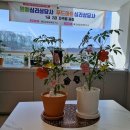 홍콩테라피 이미지
