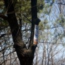 매화산주유소 이미지