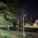 목척교 | [대전] 목척교 포장마차 | 대전역 은행동 야장 ･ 웨이팅 꿀팁 ･ 주차 화장실 준비물