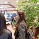 솔밭낙지마당 이미지