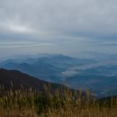 제530차(24년 12월 1일 07시) 충남 보령 오서산 정기산행 안내 이미지