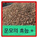엠엠에프