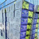 이상만농장 이미지