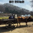 한터농원 영농조합법인 | 용인 아이랑 가볼만한 곳 한터농원영농조합법인 소 달구지 타러가자!