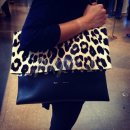 소프트올 이미지