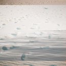 대진5리해변 이미지