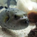 영상칼럼 [06/01/03(화)] 이미지