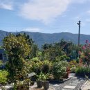 여촌농원펜션 이미지