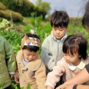 주만농장 이미지