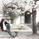 꽃피는 봄이 오면 이미지