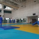 용인대석사복싱 이미지