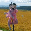 병곡리 Daum카페