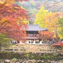 단풍스테이 이미지