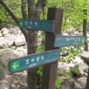 밤나무길 이미지
