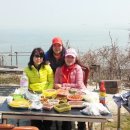 ■순수40년 숙박(비박)전국여행 170번째■ 풍도에서 살아보기 ☆2026년 4월18일 / *풍도섬 야생화 일주* 이미지