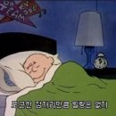 러브보트 네이버블로그