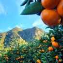 천지농장 이미지