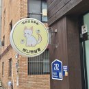 비니펫살롱 이미지