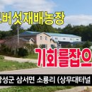 소룡농장 네이버블로그