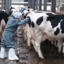 피내농장 이미지