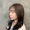 자이프라자약국 | [서울/서초구] 반포 미용실 메종드아이디헤어 반포자이점 톤다운 비건염색 후기 | 최고 부원장님