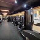 머슬톡 휘트니스 이미지