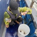 별이네민박 | 충남 보령 오천항 쭈꾸미 배낚시 후기 (나폴리피싱)