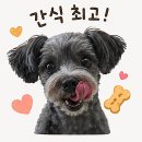 아리도리 | 정선 5일장 먹거리 아리곳간 정선점 오란다 강정 후기, 전통 수제간식